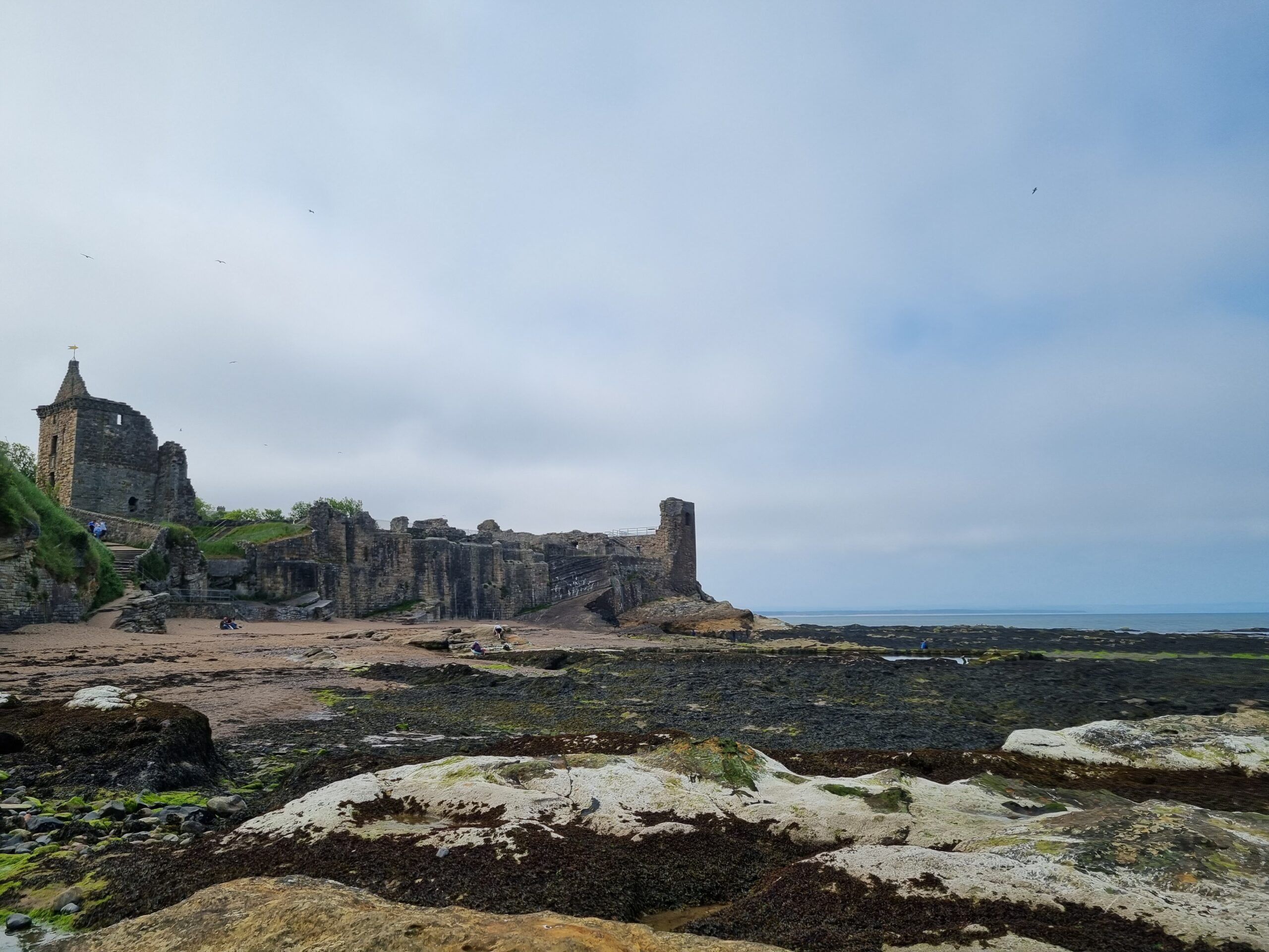 Picture of a beach and a ruined castle in St Andrews
